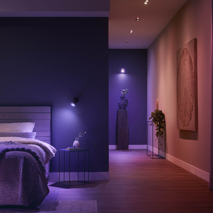 278873-x6.jpg (3672496) 