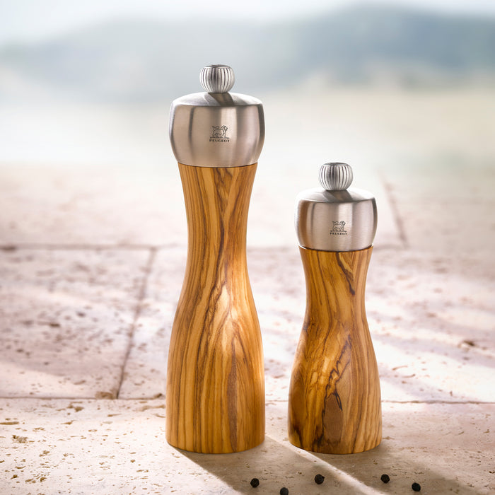 Peugeot Fidji Olivier Zoutmolen 15 cm