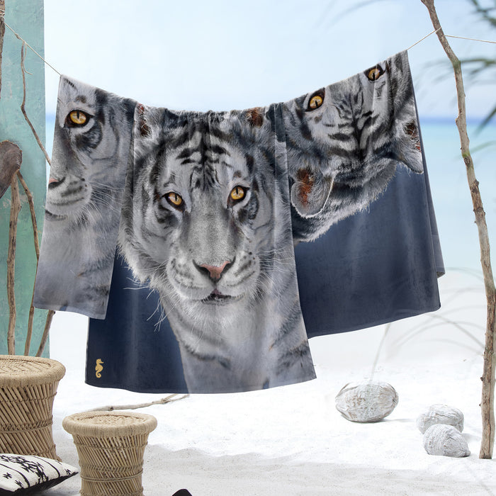 d8ef21e8-002f-44c2-ac5c-bca52b0c8713-afbeelding10.jpg (3695080) 