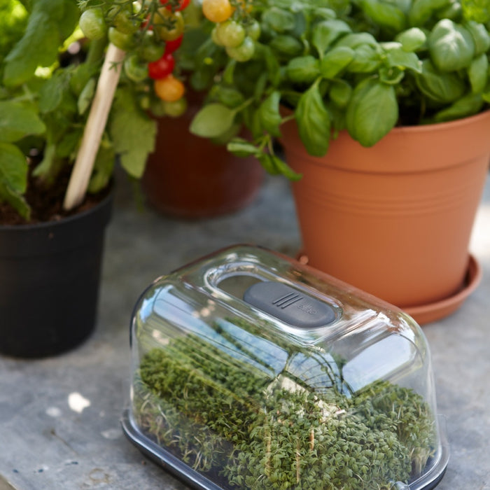 Elho Green Basics Kweektray S