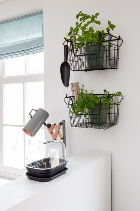 Elho Green Basics Kweektray S