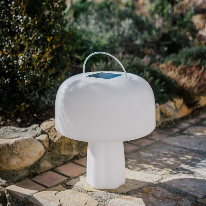 Goodnight Light Boleti Lamp