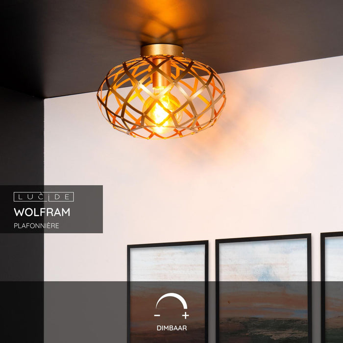 355298b6-6ed6-44c0-a462-efc5e60ad450-sfeerbeeld.jpg (3729560) 