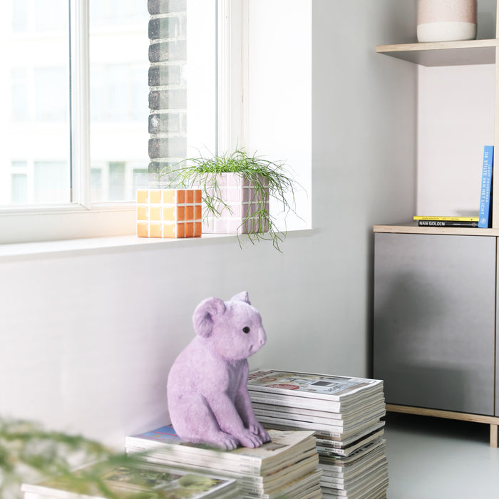 &k amsterdam Spaarpot Koala