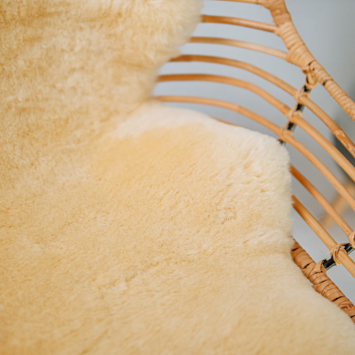 ef1113fc-1c78-40ee-8244-9715f103f945-afbeelding3.jpg (3741470) 