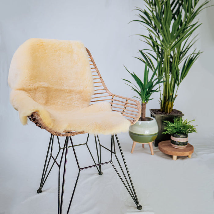 ef1113fc-1c78-40ee-8244-9715f103f945-sfeerbeeld.jpg (3741472) 