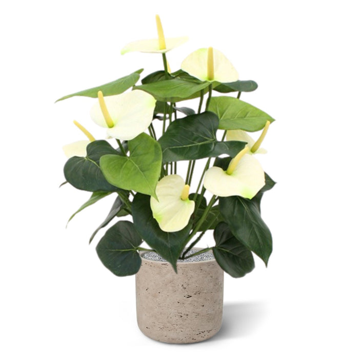 e3bdf930-0712-401b-be59-1b40b4b95677-afbeelding5.jpg (3744841) 