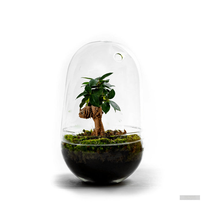 635092e2-1628-4a11-b84a-92f40790a588-afbeelding10.jpg (3746494) 