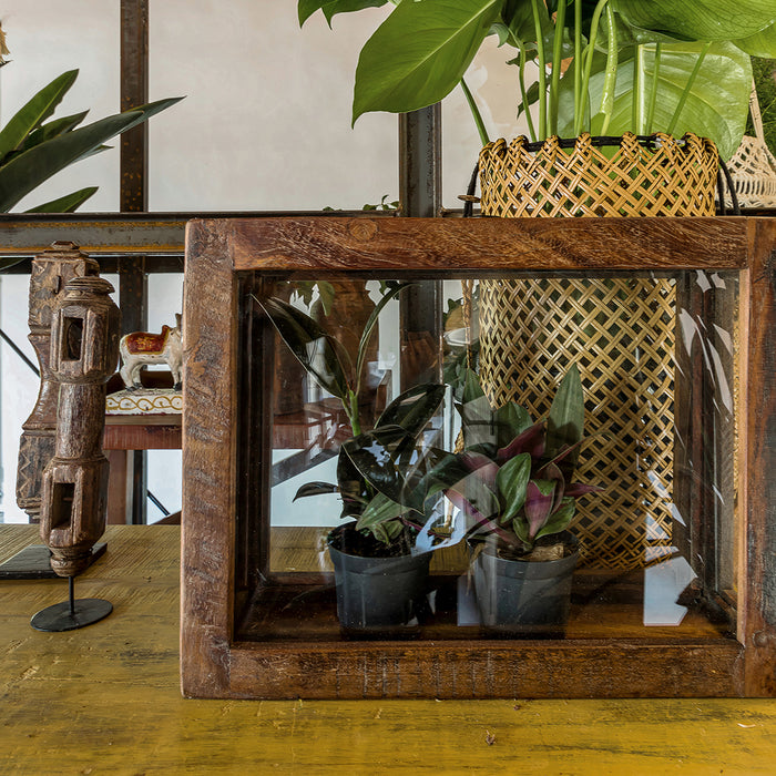 257908-x4.jpg (3767587) 