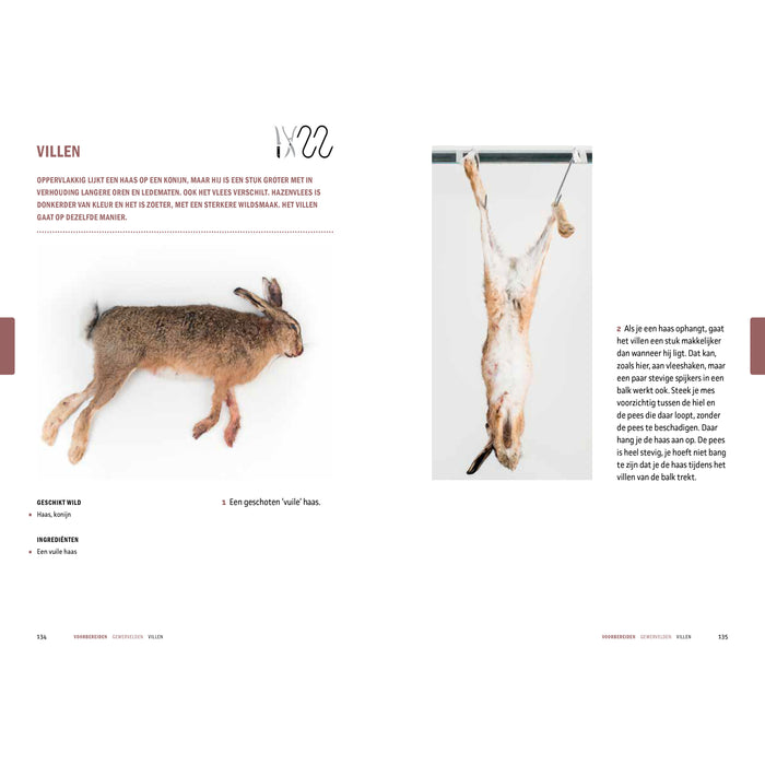 Peter Klosse - Wildbijbel