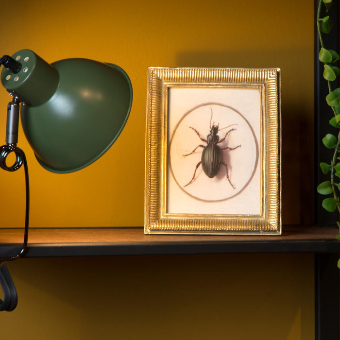 Lucide MOYS Klemlamp - Groen