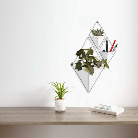 Umbra Trigg Wandelement en Bloempot - 22 x 10 cm