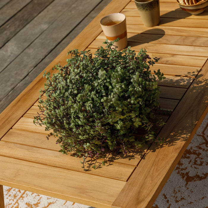 Woood Lucca Loungeset - Hoekbank