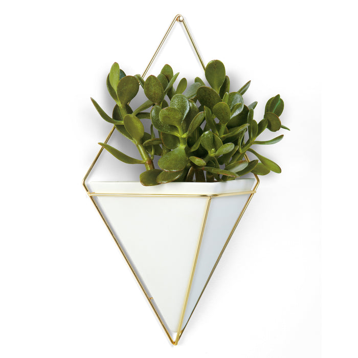 Umbra Trigg Wandelement en Bloempot - 38 x 23 cm