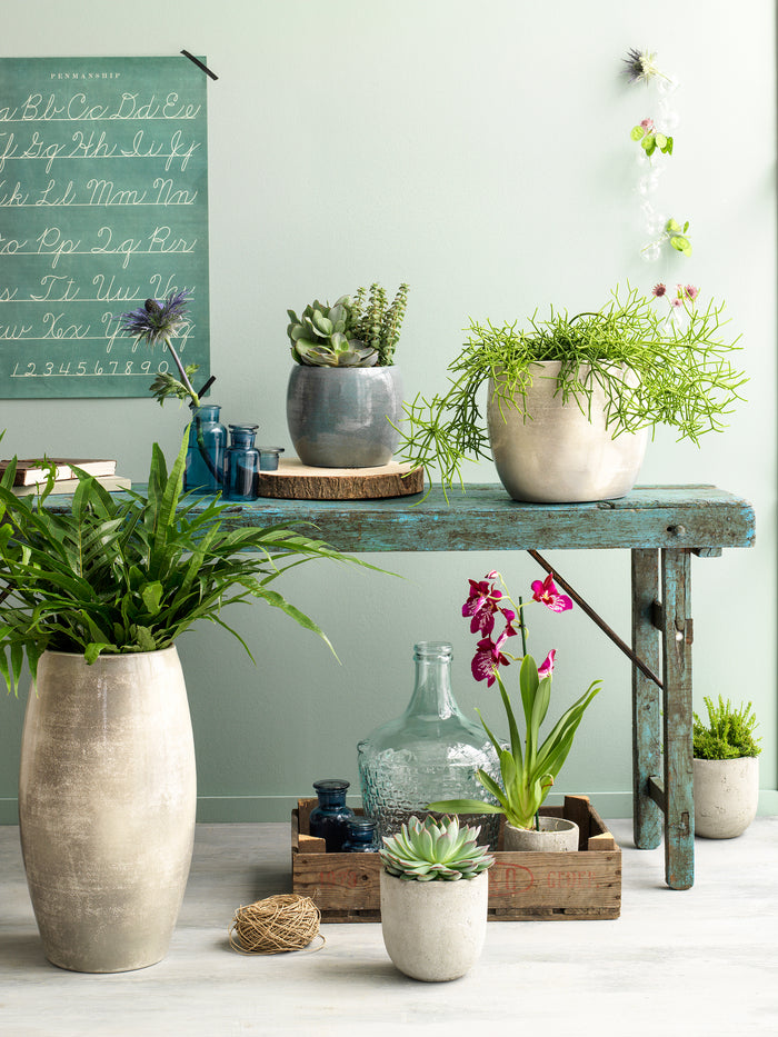 a50da9a8-eaf7-40ed-b5dd-25ae09af34fb-sfeerbeeld.jpg (3840526) 