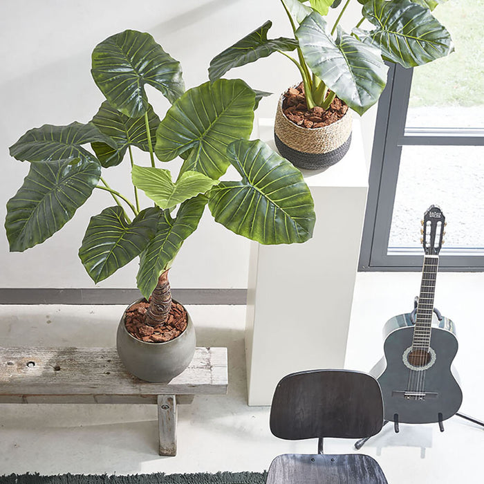 Mica Decorations Taro Kunstplant - H100 x Ø70 cm - Groen