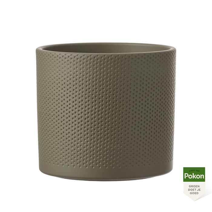 Pokon Cowboycactus incl. watermeter en voeding in Pot Groen ↕90 cm