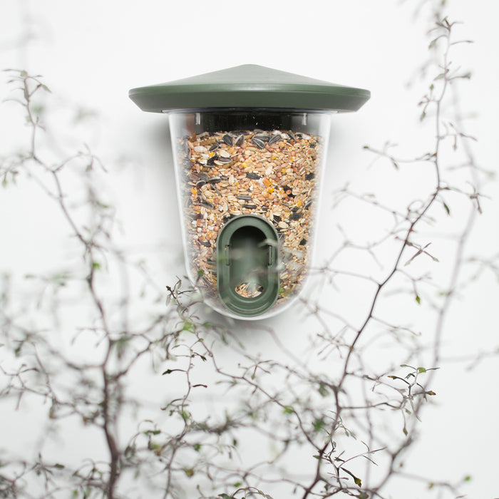 SingingFriend feedR Vogelvoeder