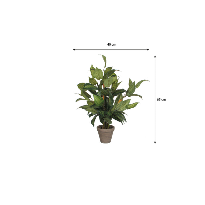 Mica Decorations Hosta Kunstplant - H65 x Ø40 cm - Groen