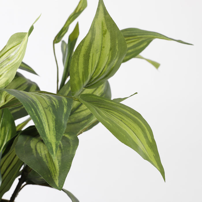 Mica Decorations Hosta Kunstplant - H65 x Ø40 cm - Groen