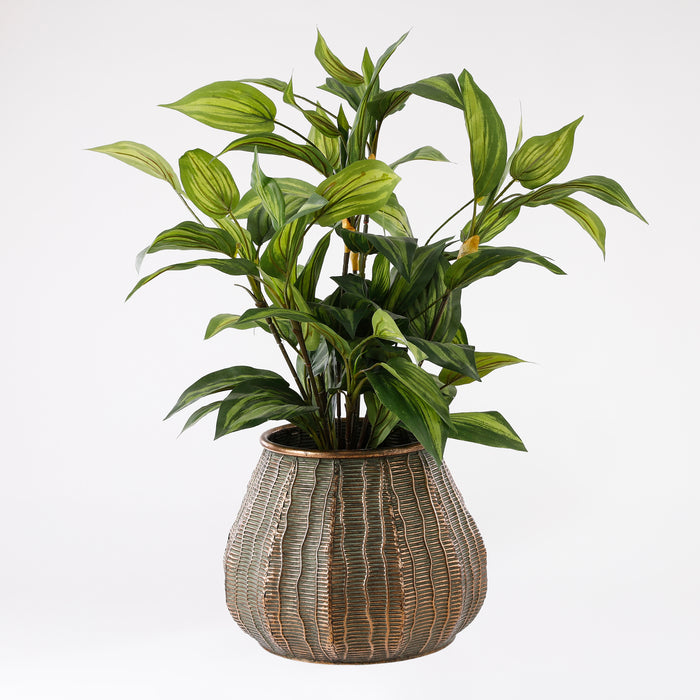 Mica Decorations Hosta Kunstplant - H65 x Ø40 cm - Groen