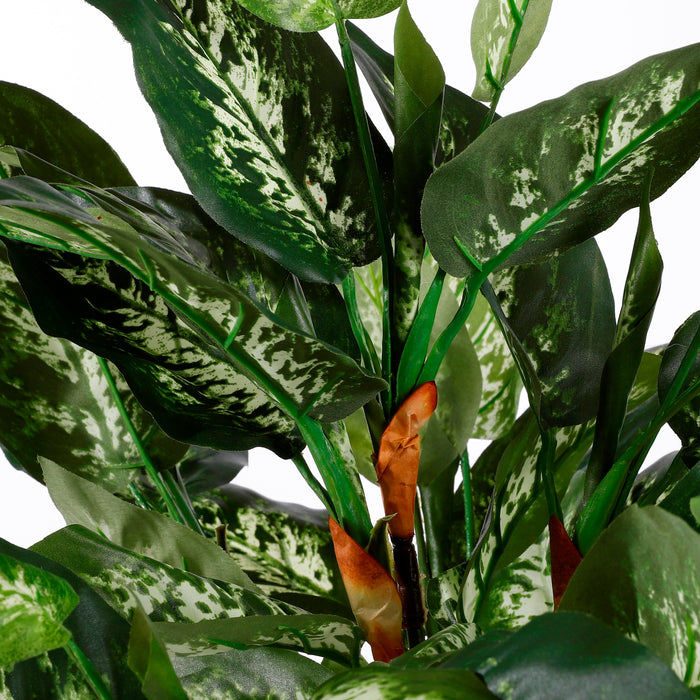 Mica Decorations Dieffenbachia Kunstplant - H70 x Ø55 cm - Groen