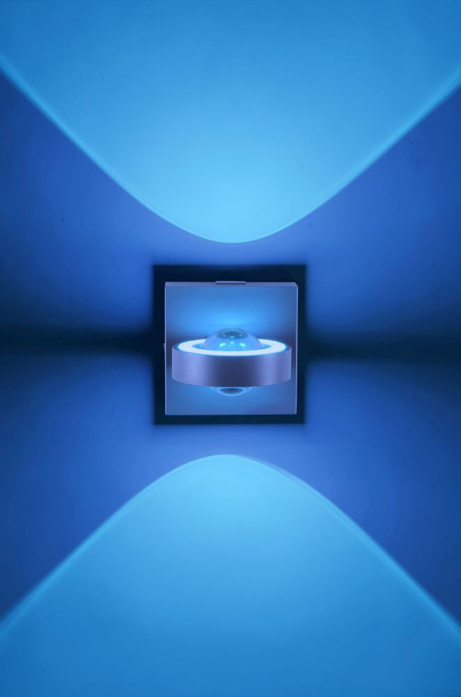Paul Neuhaus Wandlamp Q-MIA Antraciet Led Smart Home