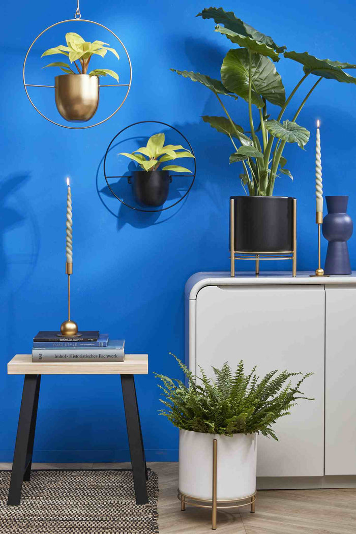 fbd3f5d8-a80c-4f16-bfe8-6789285bc449-afbeelding5.jpg (3942914) 