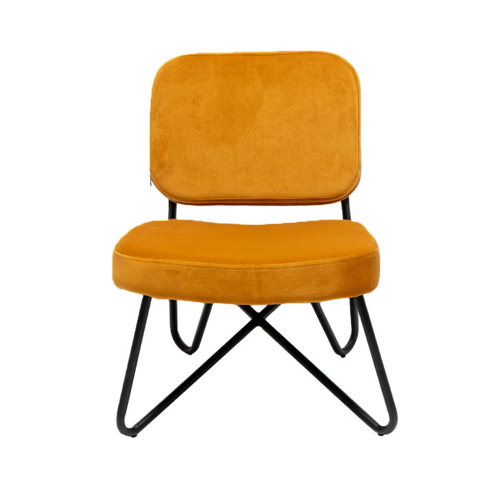 1ffd03ab-48f7-400f-8918-c762666e93a8-afbeelding5.jpg (3952549) 