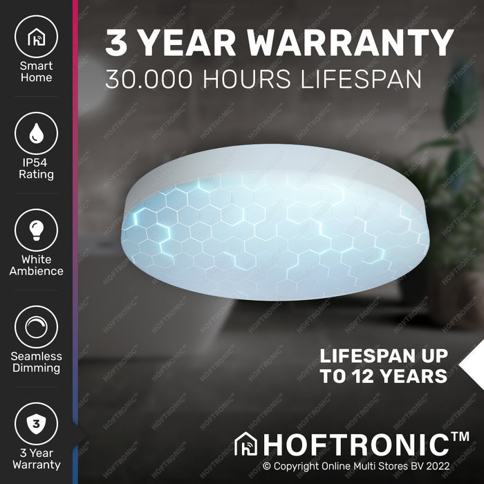 8d576835-840c-4b13-a410-643871eee456-afbeelding8.jpg (3975987) 