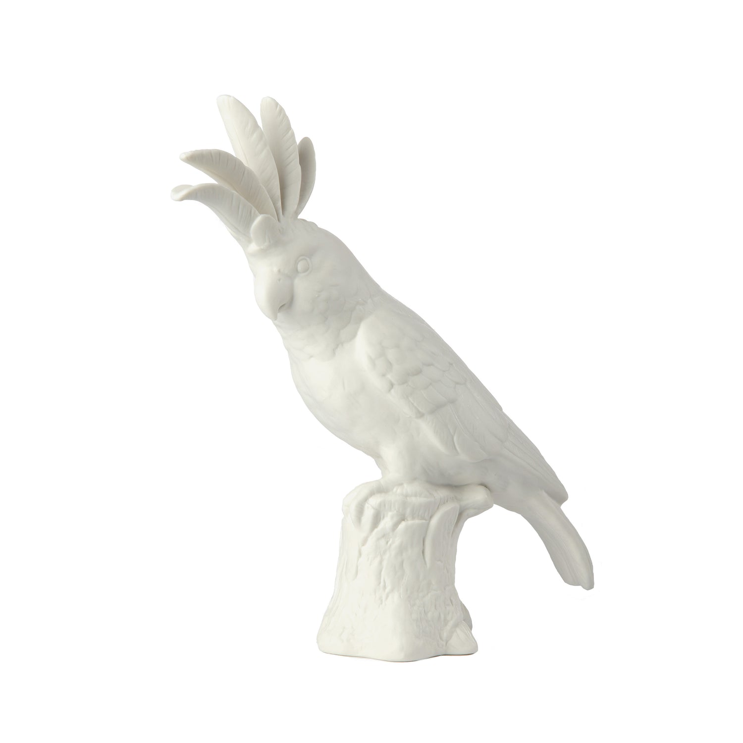 POLSPOTTEN Cockatoo Decoratie