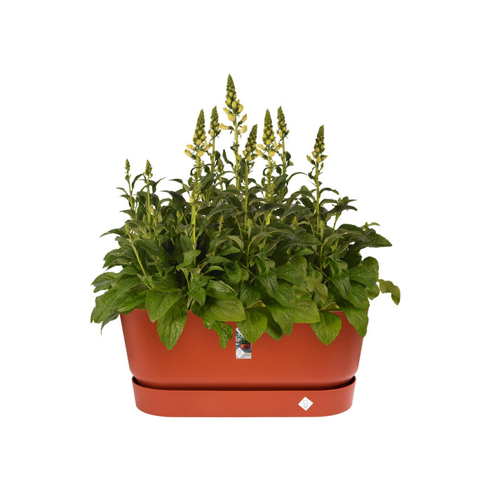 Elho Greenville Bloembak 80 cm