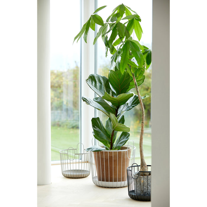 294995-x1.jpg (3996169) 