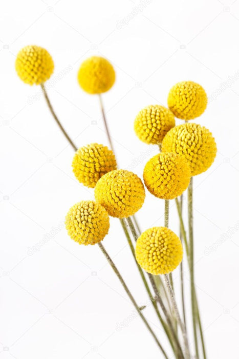 bf907325-41a7-4896-a013-7ed62b625476-afbeelding3.jpg (4002503) 