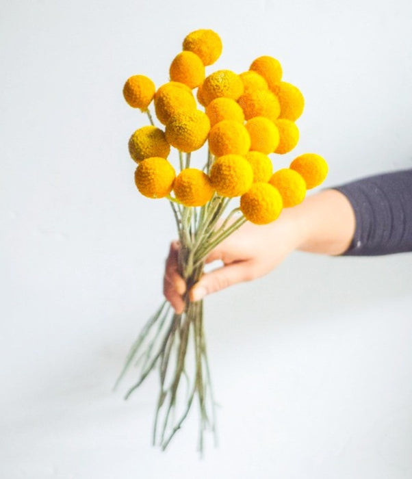 bf907325-41a7-4896-a013-7ed62b625476-afbeelding4.jpg (4002504) 