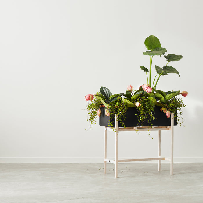 Design House Stockholm Botanic Plantenbox