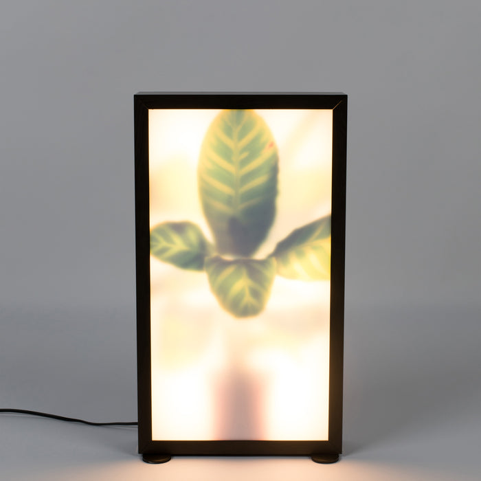 Zuiver Grow Vloerlamp M