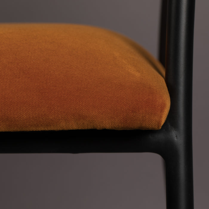 277144-x8.jpg (4044177) 