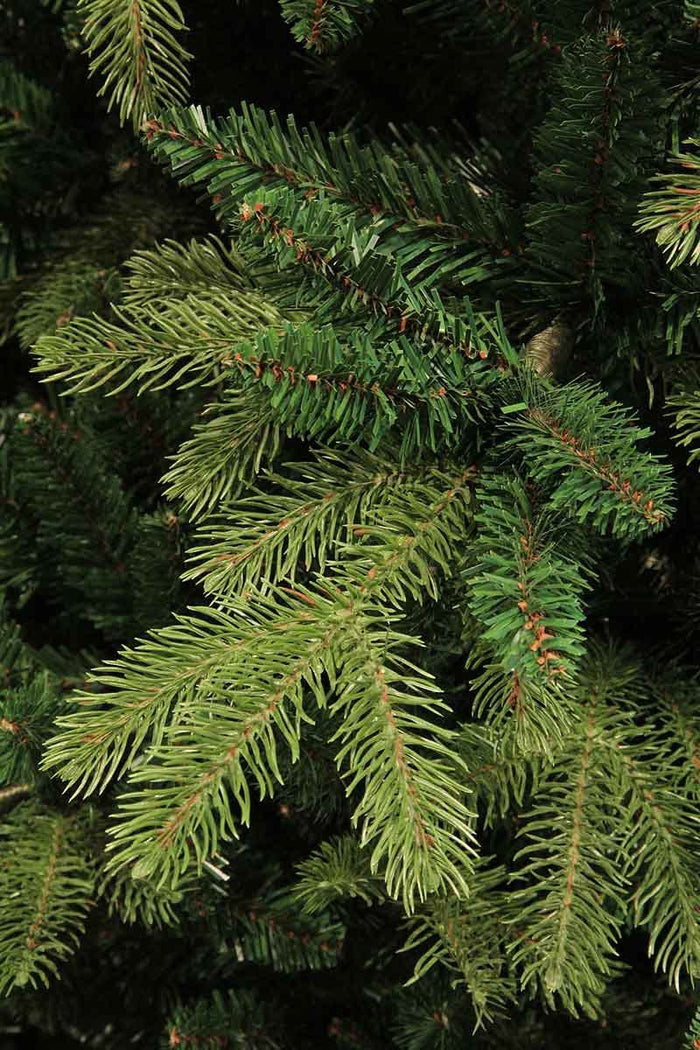 Black Box Trees Brampton Kunstkerstboom Smal - H185 x Ø114 cm - Groen