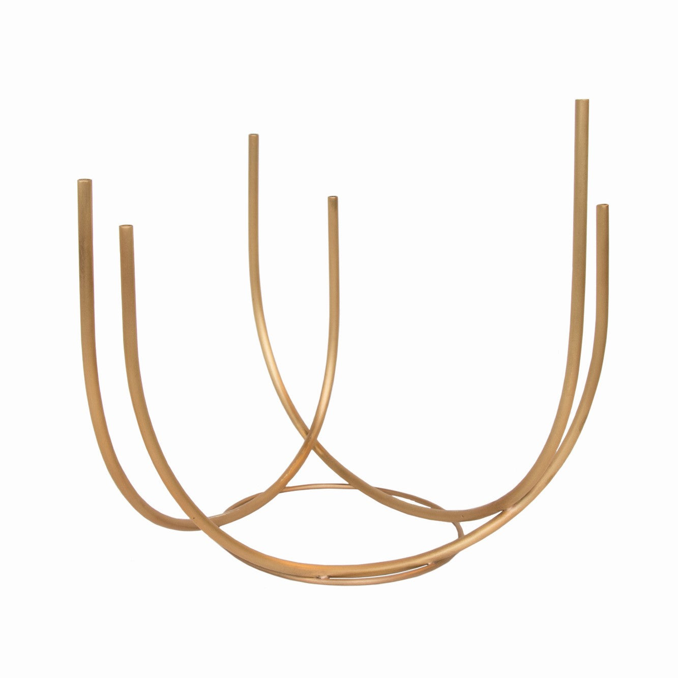 277259-x0.jpg (4059760) 