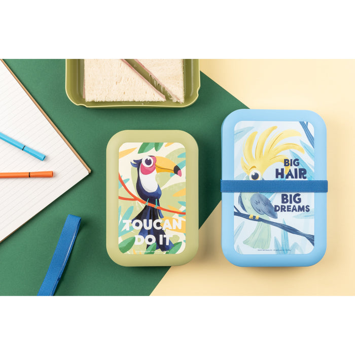 Amuse Toucan Do IT Brooddoos Medium