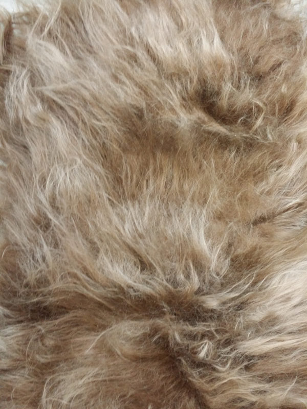 fef33962-574e-4f20-934a-28561a2fc51c-afbeelding3.jpg (4080407) 