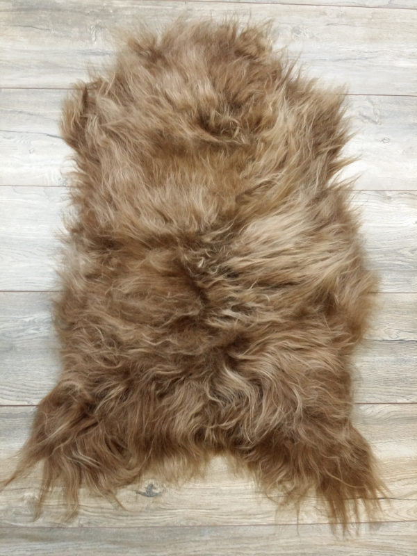 fef33962-574e-4f20-934a-28561a2fc51c-sfeerbeeld.jpg (4080411) 