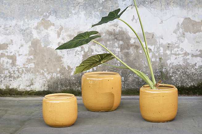 cbf3ae02-c22e-4b94-8f97-66b337725735-afbeelding5.jpg (4091146) 