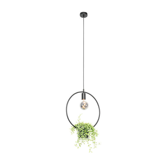 QAZQA Moderne hanglamp zwart met glas rond - Roslini