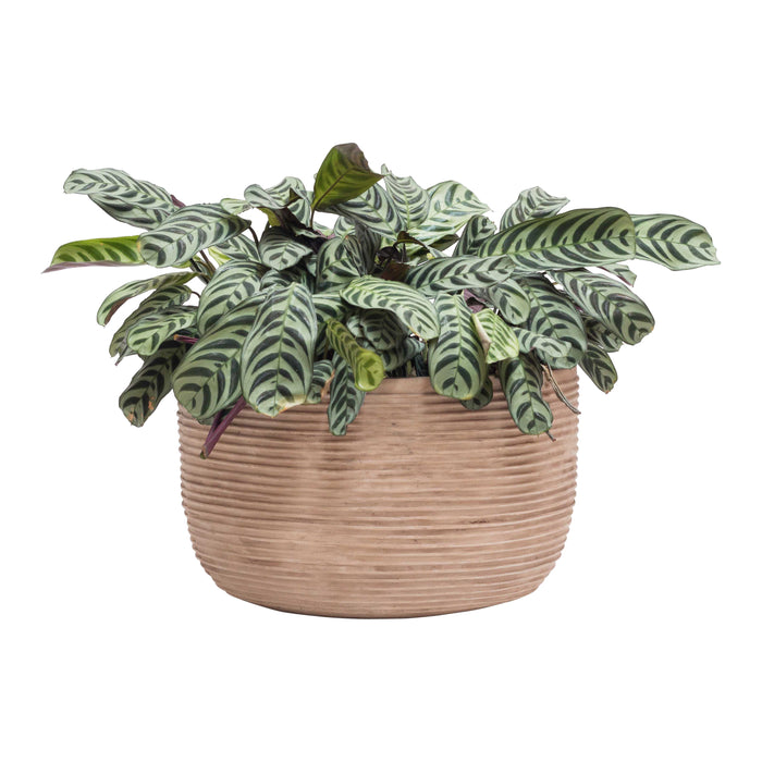 Vase The World Bali Plantenbak Ø 45 cm