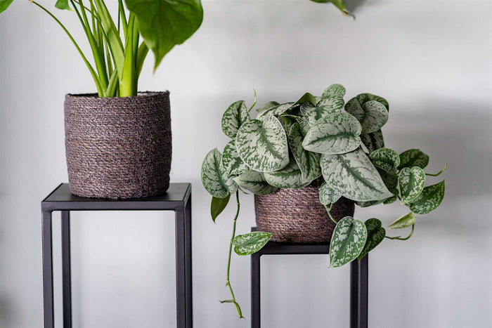 8ccc4d7c-61a0-4929-b75f-174ebb4f87eb-afbeelding6.jpg (4120943) 