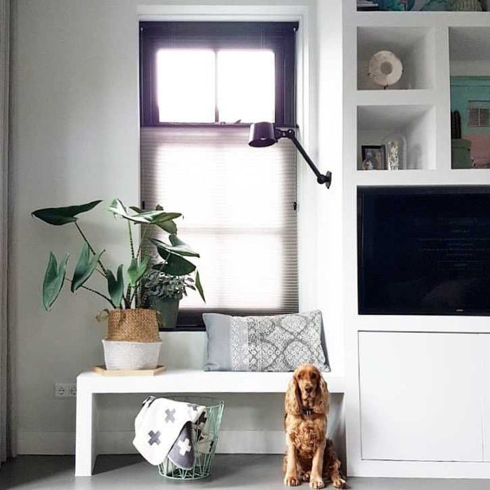 Bolt Sidefit wandlamp small met stekker Ash Grey