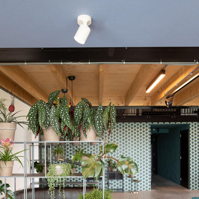 282896-x1.jpg (4150203) 