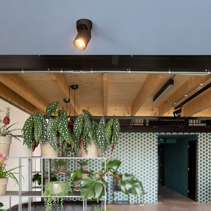 282897-x1.jpg (4150380) 